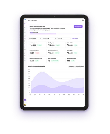 Payments AI revenue dashboard shown on a tablet